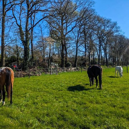 Hotel Chique Chalet Met Zicht Over De Weilanden Op De Veluwe 伊皮 外观 照片