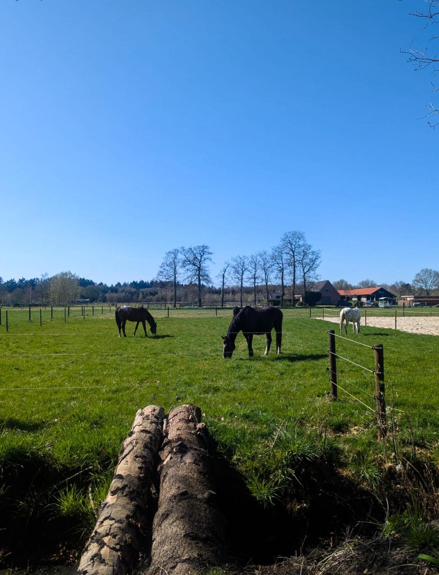 Hotel Chique Chalet Met Zicht Over De Weilanden Op De Veluwe 伊皮 外观 照片